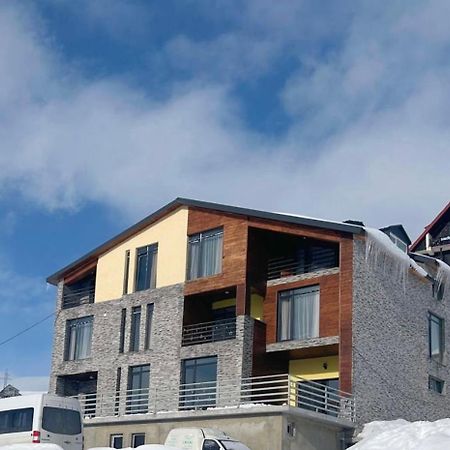 Dandelion Hotel Gudauri Ganisi Экстерьер фото