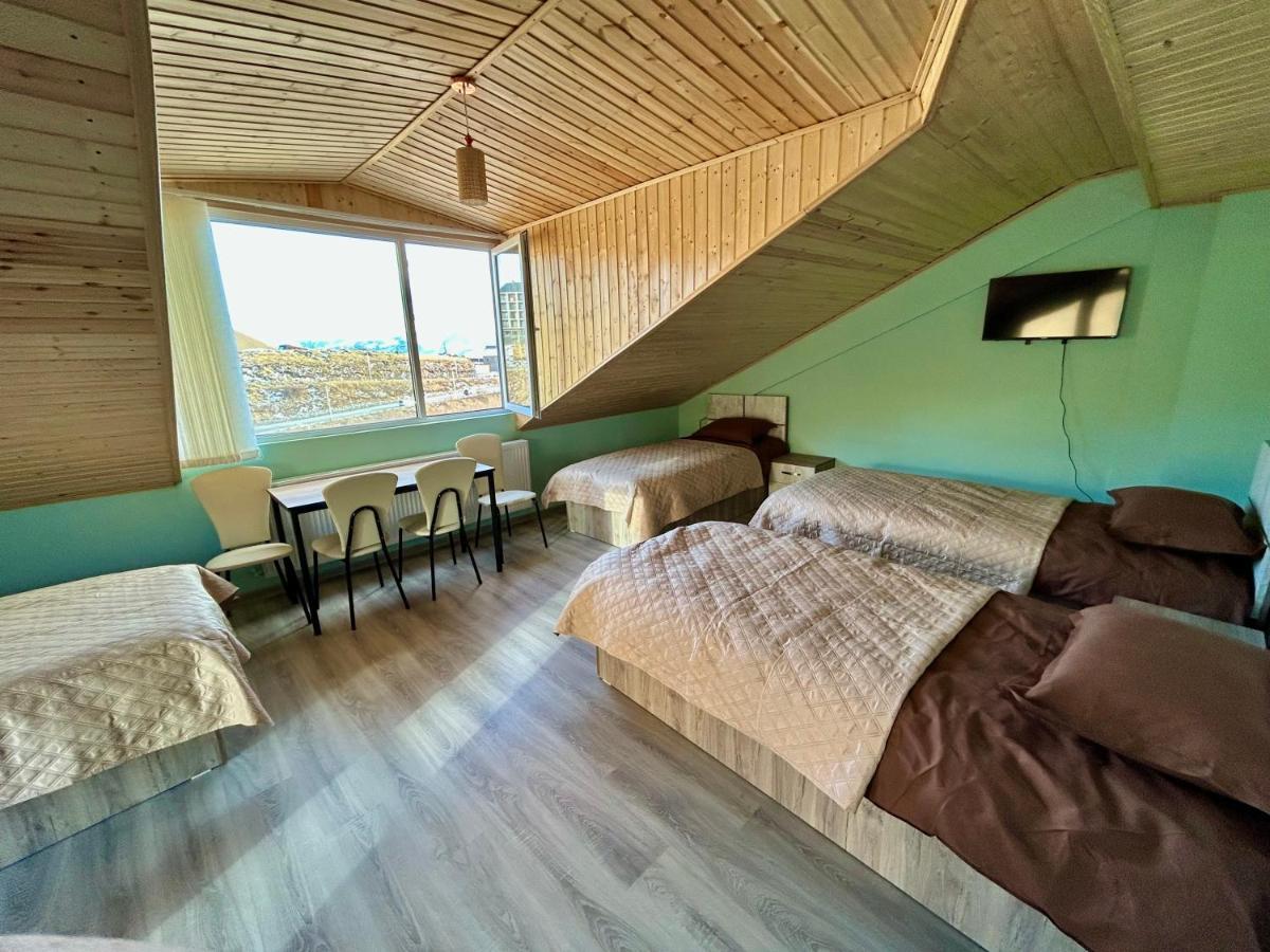 Dandelion Hotel Gudauri Ganisi Экстерьер фото