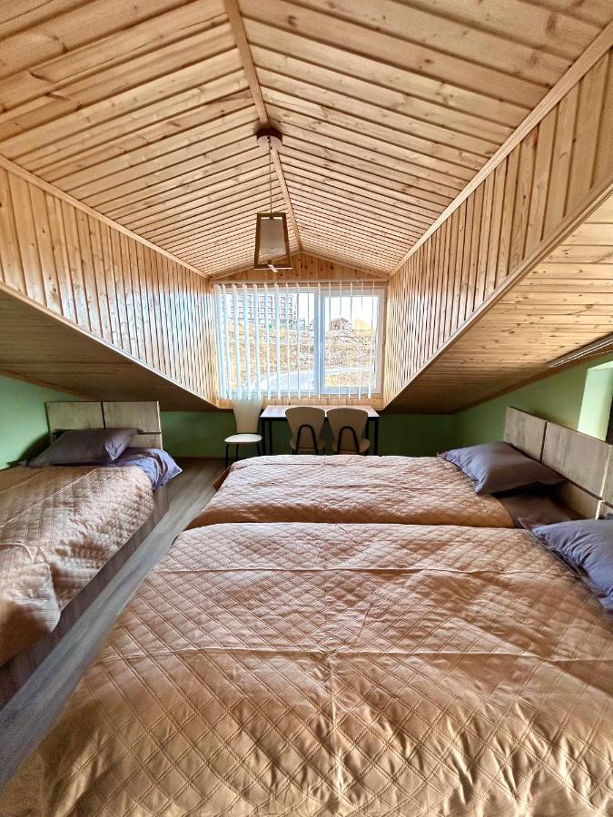 Dandelion Hotel Gudauri Ganisi Экстерьер фото