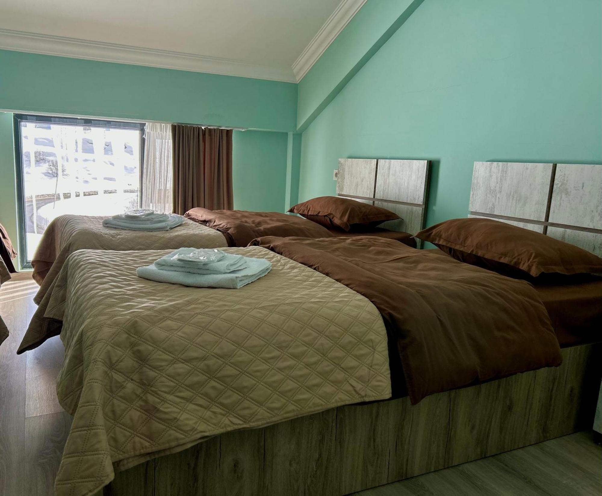 Dandelion Hotel Gudauri Ganisi Экстерьер фото